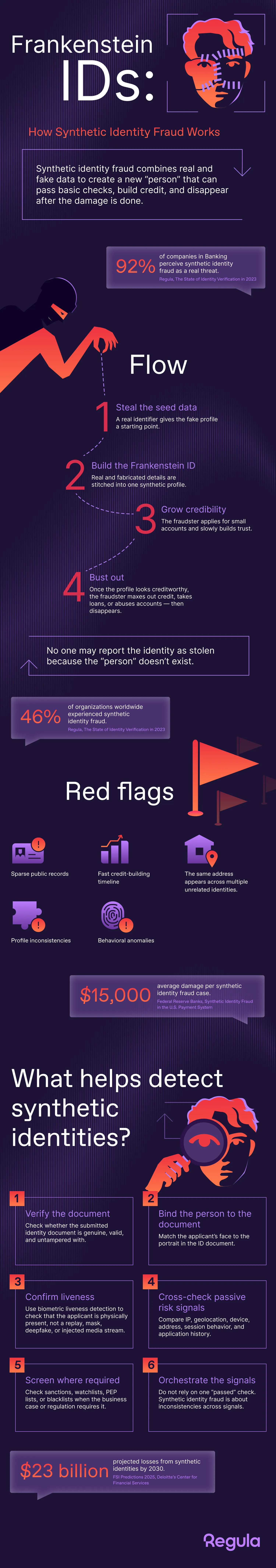 synthetic identity infographics